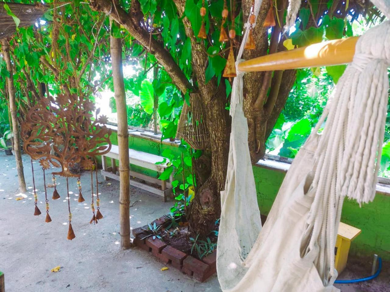 Gaia Ocean Surf Yoga Hostel อาฮานกามา ภายนอก รูปภาพ